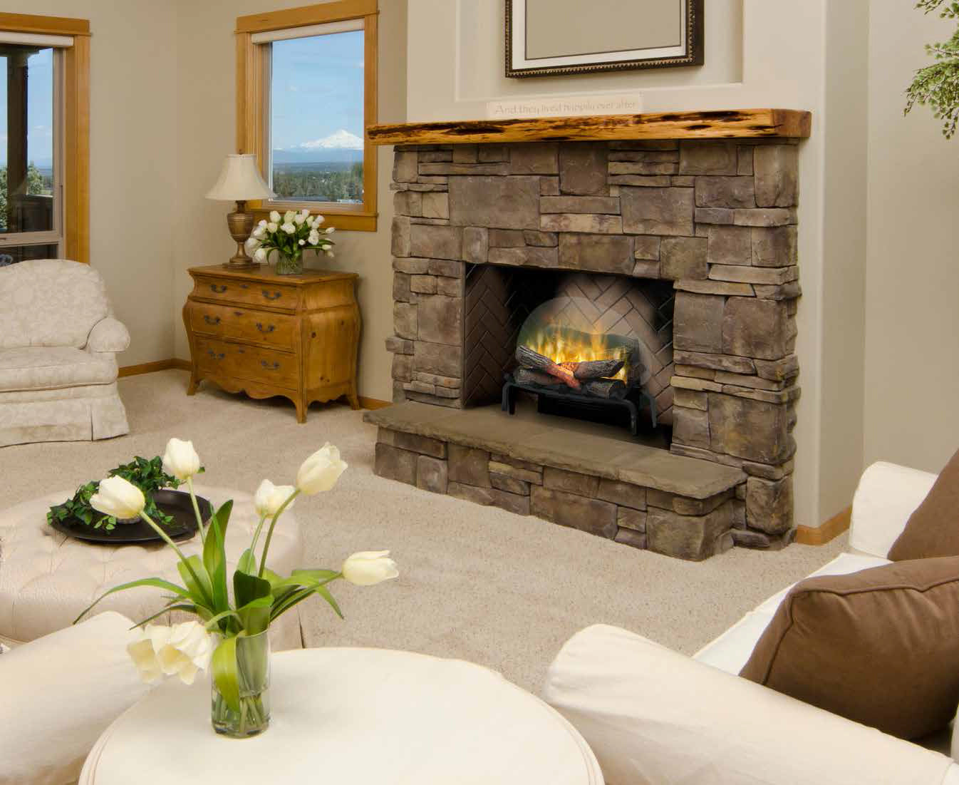 Plug-in Electric Log Sets - Revillusion
